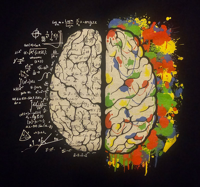 cerveau_noir